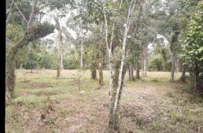 Terreno à venda no Parque Vergara, Itanhaém 