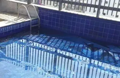 Apartamento com 3 quartos à venda na Rua Vitoantônio Del Vecchio, 200, Parque da Mooca, São Paulo