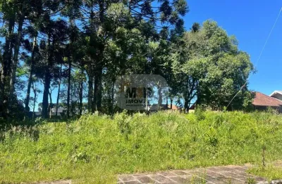 Terreno à venda em Juriti, Nova Petrópolis 