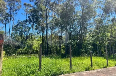 Terreno à venda na rua danilo haas, juriti, nova petrópolis por r$ 620.000