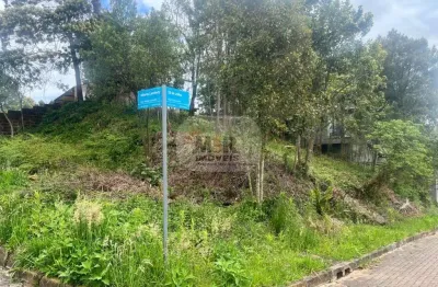 Terreno à venda na vila germania, nova petrópolis  por r$ 320.000