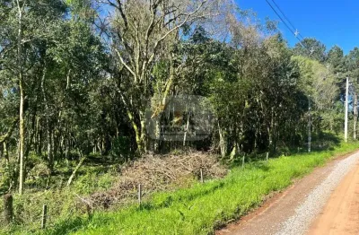 Terreno à venda na rua anotnio schoeler, nove colônias, nova petrópolis por r$ 730.000