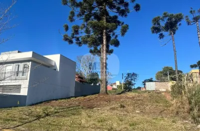 Terreno à venda na rua guido theodoro hillebrand, linha imperial, nova petrópolis por r$ 269.000