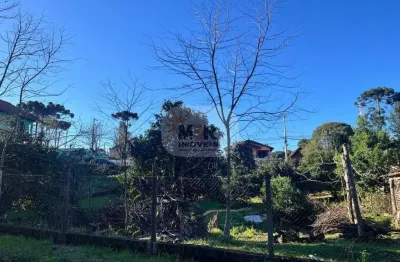 Terreno à venda na vila germania, nova petrópolis  por r$ 370.000