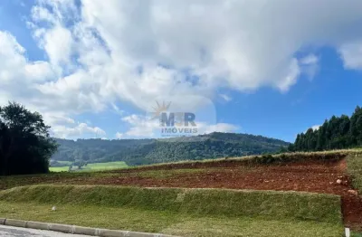 Terreno à venda no pinhal alto, nova petrópolis  por r$ 239.580