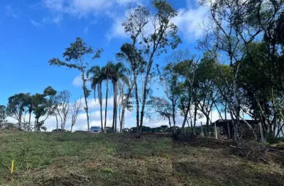 Terreno à venda na estrada geral fazenda pirajá, vila germania, nova petrópolis por r$ 220.000