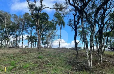 Terreno à venda na estrada geral fazenda pirajá, vila germania, nova petrópolis por r$ 220.000