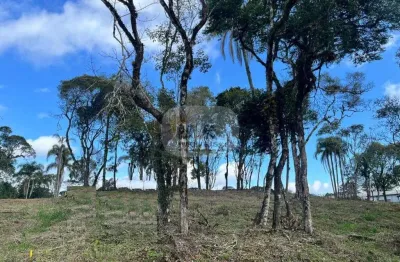 Terreno à venda na estrada geral fazenda pirajá, vila germania, nova petrópolis por r$ 220.000