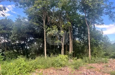 Terreno à venda na pousada da neve, nova petrópolis  por r$ 350.000