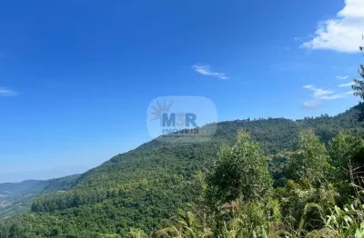 Terreno à venda na br 116, km 188, centro, picada café por r$ 1.500.000