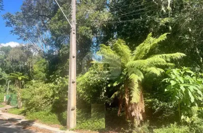 Terreno à venda na rua dos pinheiros, alpes verdes, canela por r$ 380.000