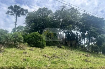 Terreno à venda no pinhal alto, nova petrópolis  por r$ 345.000