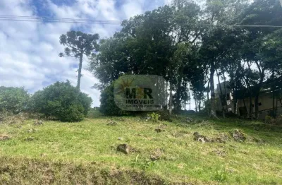 Terreno à venda no pinhal alto, nova petrópolis  por r$ 120.000