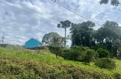 Terreno à venda na rua otto walter schneider, pinhal alto, nova petrópolis por r$ 120.000