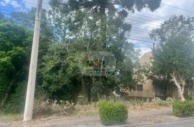 Terreno à venda no logradouro, nova petrópolis  por r$ 585.000