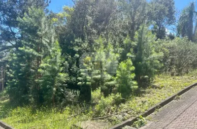 Terreno à venda no linha imperial, nova petrópolis  por r$ 200.000