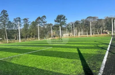 Chácara / sítio com 3 quartos à venda no são jacó, sapiranga , 210 m2 por r$ 2.500.000