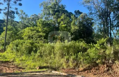 Terreno à venda na pinhal alto, pinhal alto, nova petrópolis por r$ 220.000