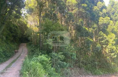 Terreno à venda no nove colônias, nova petrópolis  por r$ 390.000