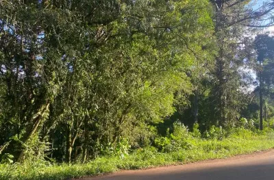 Terreno à venda no linha brasil, nova petrópolis  por r$ 150.000