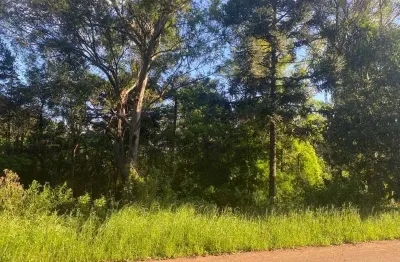 Terreno à venda na rua emilio dinnerbier filho, linha brasil, nova petrópolis por r$ 220.000