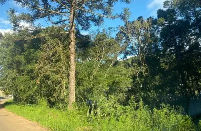 Terreno à venda na rua emilio dinnerbier filho, linha brasil, nova petrópolis por r$ 250.000