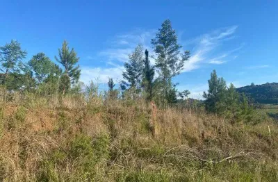 Terreno à venda no linha brasil, nova petrópolis  por r$ 275.000