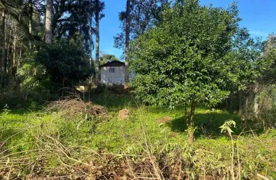 Terreno à venda no vale verde, nova petrópolis  por r$ 150.000