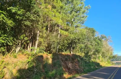 Terreno à venda no linha temerária, nova petrópolis  por r$ 540.000