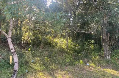 Terreno à venda na vila germania, nova petrópolis  por r$ 370.000