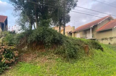 Terreno à venda na rua rui barbosa, ter, logradouro, nova petrópolis por r$ 480.000