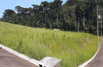 Terreno à venda no linha imperial, nova petrópolis  por r$ 250.000