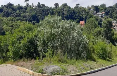 Terreno comercial à venda na av. padre afonso theobald, logradouro, nova petrópolis por r$ 900.000