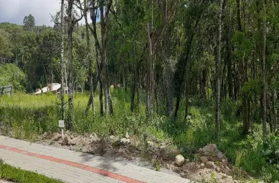 Terreno à venda no linha imperial, nova petrópolis  por r$ 215.000