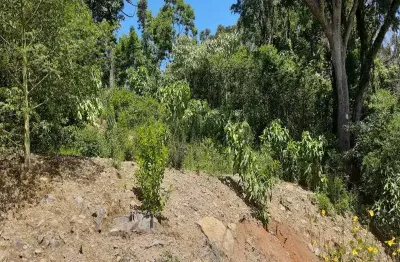 Terreno à venda no linha imperial, nova petrópolis  por r$ 215.000