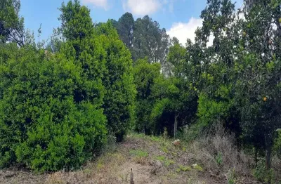 Terreno à venda na rua padre amstadt, logradouro, nova petrópolis por r$ 990.000