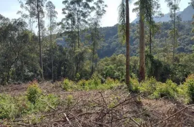 Terreno à venda no arroio paixão, nova petrópolis  por r$ 250.000
