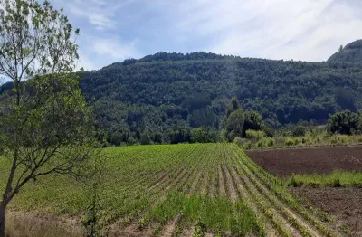 Terreno à venda na estrada linha temerária, linha temerária, nova petrópolis por r$ 480.000