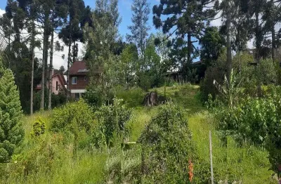 Terreno à venda no recanto do sossego, nova petrópolis  por r$ 380.000