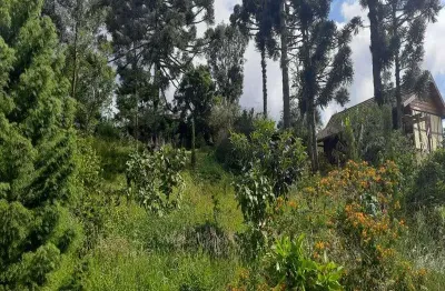 Terreno à venda no recanto do sossego, nova petrópolis  por r$ 380.000