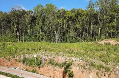 Terreno à venda na av. das araucárias, linha imperial, nova petrópolis por r$ 205.000
