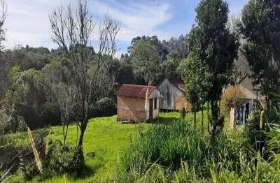 Chácara / sítio com 4 quartos à venda na rua dos imigrantes, 1290, linha olinda, nova petrópolis por r$ 855.000