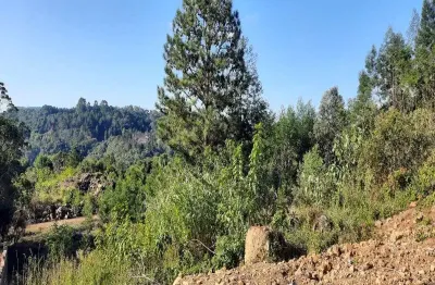 Terreno à venda na rua das três marias, bavária, nova petrópolis por r$ 150.000