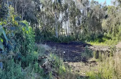 Terreno à venda na rua otto grings, linha imperial, nova petrópolis por r$ 128.000
