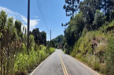 Terreno à venda na linha olinda, nova petrópolis  por r$ 2.600.000