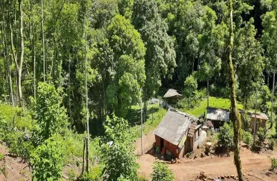 Chácara / sítio com 2 quartos à venda na linha pirajá baixa, linha pirajá baixa, nova petrópolis por r$ 350.000