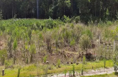 Terreno à venda na rua vicente prieto, 3200, pinhal alto, nova petrópolis por r$ 150.000