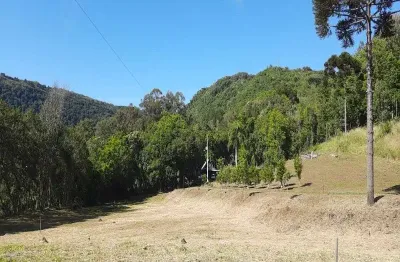 Terreno à venda no linha araripe, nova petrópolis  por r$ 2.100.000