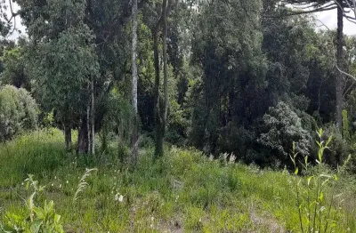 Terreno à venda na guido theodoro hillebrand, linha imperial, nova petrópolis por r$ 170.000