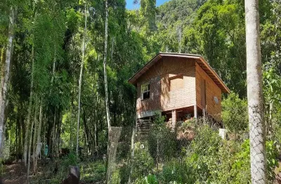 Chácara / sítio com 2 quartos à venda na linha pirajá baixa, nova petrópolis  por r$ 650.000